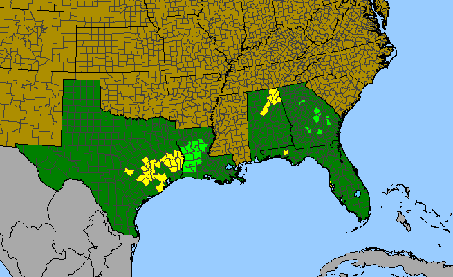 The range of Bigelowia nuttallii
